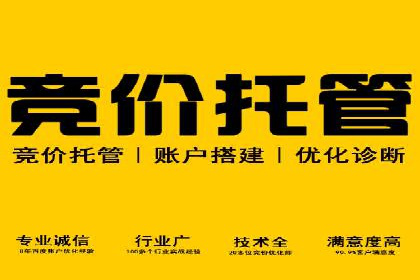 SEM推广竞价案例：提升广告投放效果